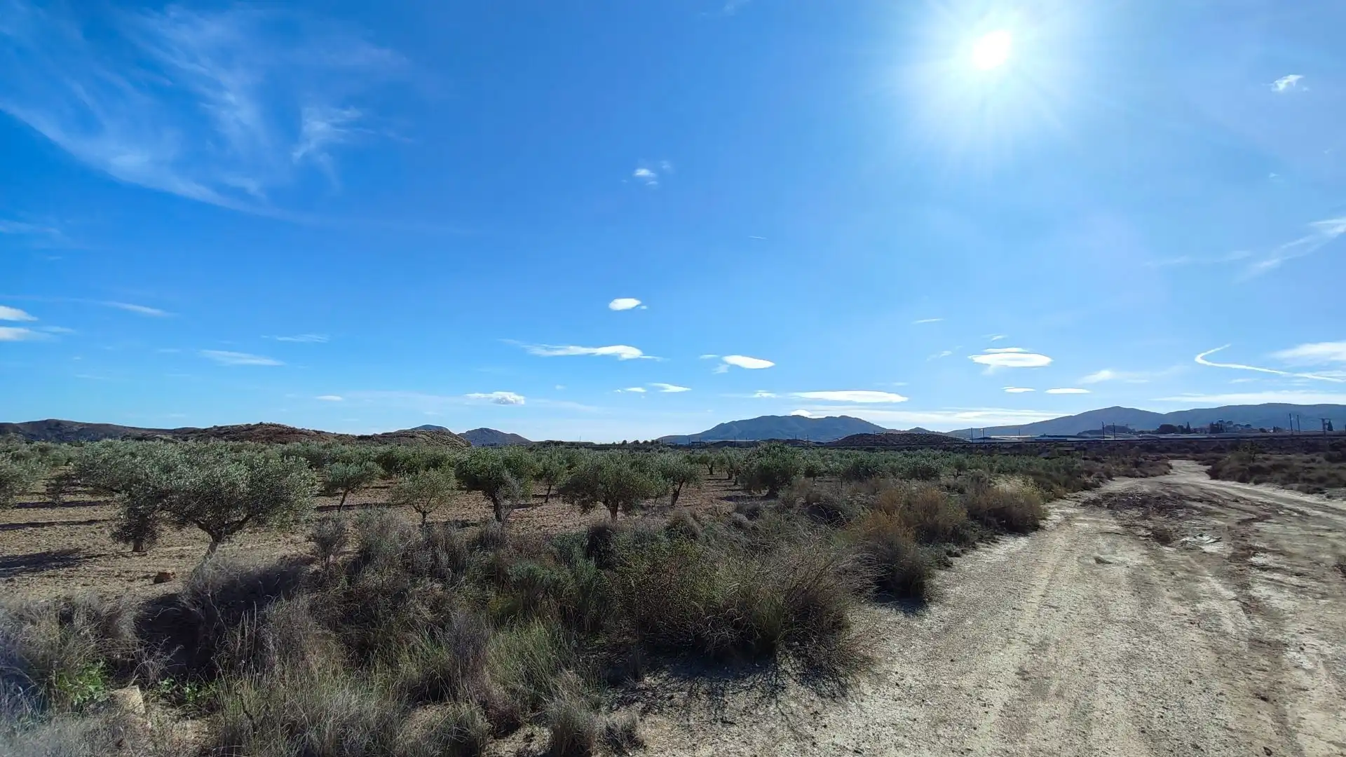 Terreno rustico in vendita a Campo Alto - Club de Campo, imagen 11