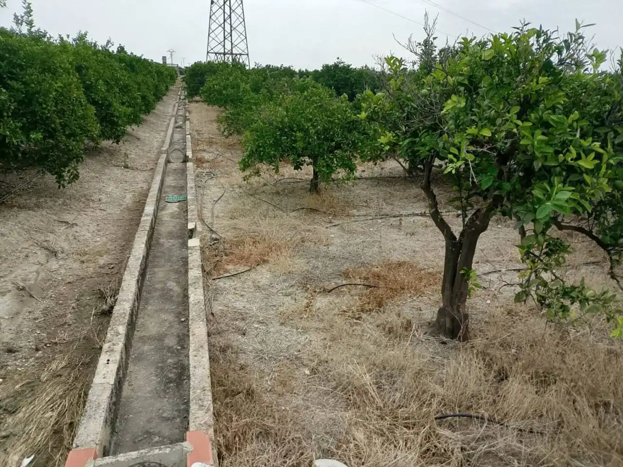Terreny rústic en venda a Carretera Nazaret a Oliva 670, imagen 5