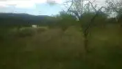 Rural land for sale in Avenida ALCOY