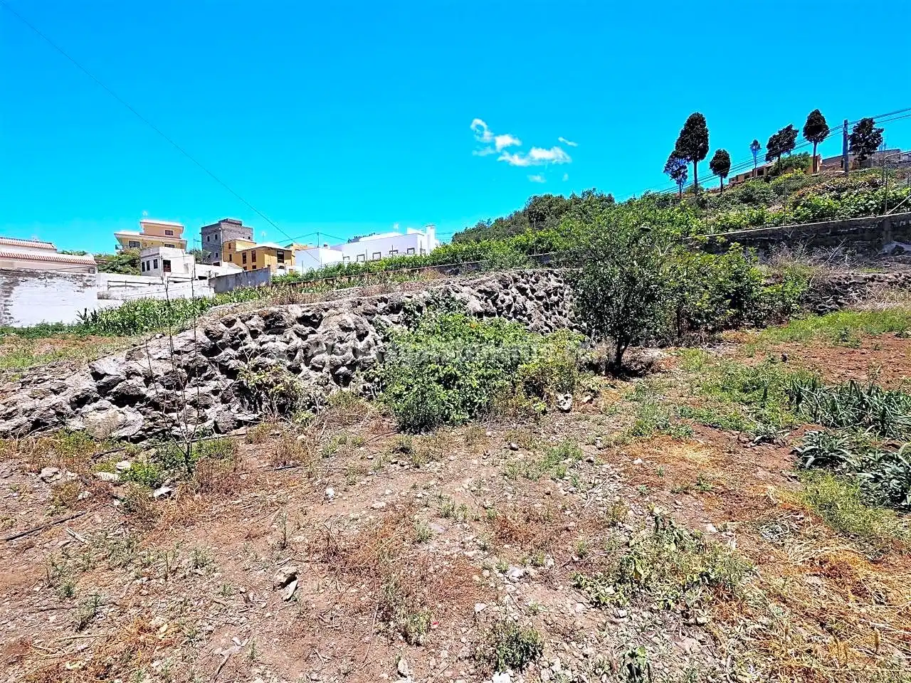 Finca rústica en venta en Icod de los Vinos con Jardín privado