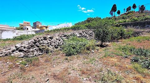 Foto 3 de Finca rústica en venda a La Vega - El Amparo - Cueva del Viento, Santa Cruz de Tenerife