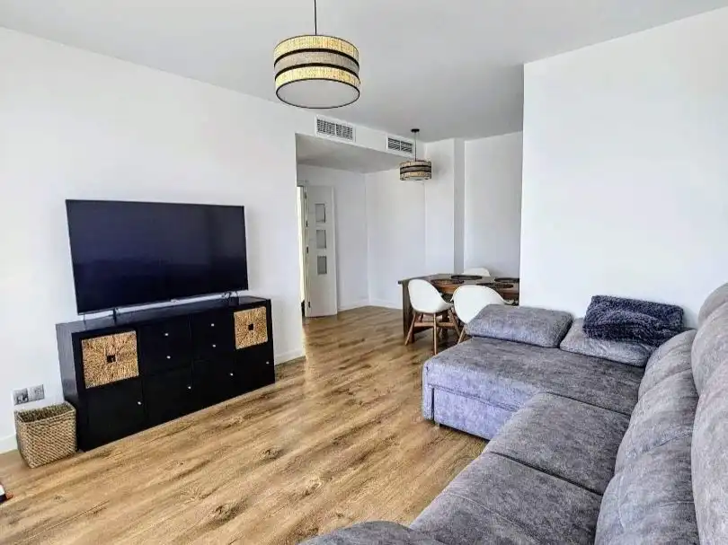 Flat with pool to rent in Avenida Dolores Rodríguez de Aragón 6, imagen 3
