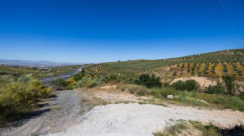 Finca de olivos en excelente ubicación  Alfacar, immagine 5