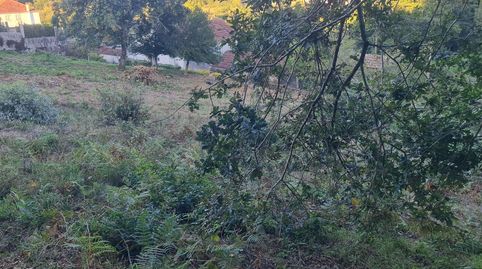 en Barro, immagine 4
