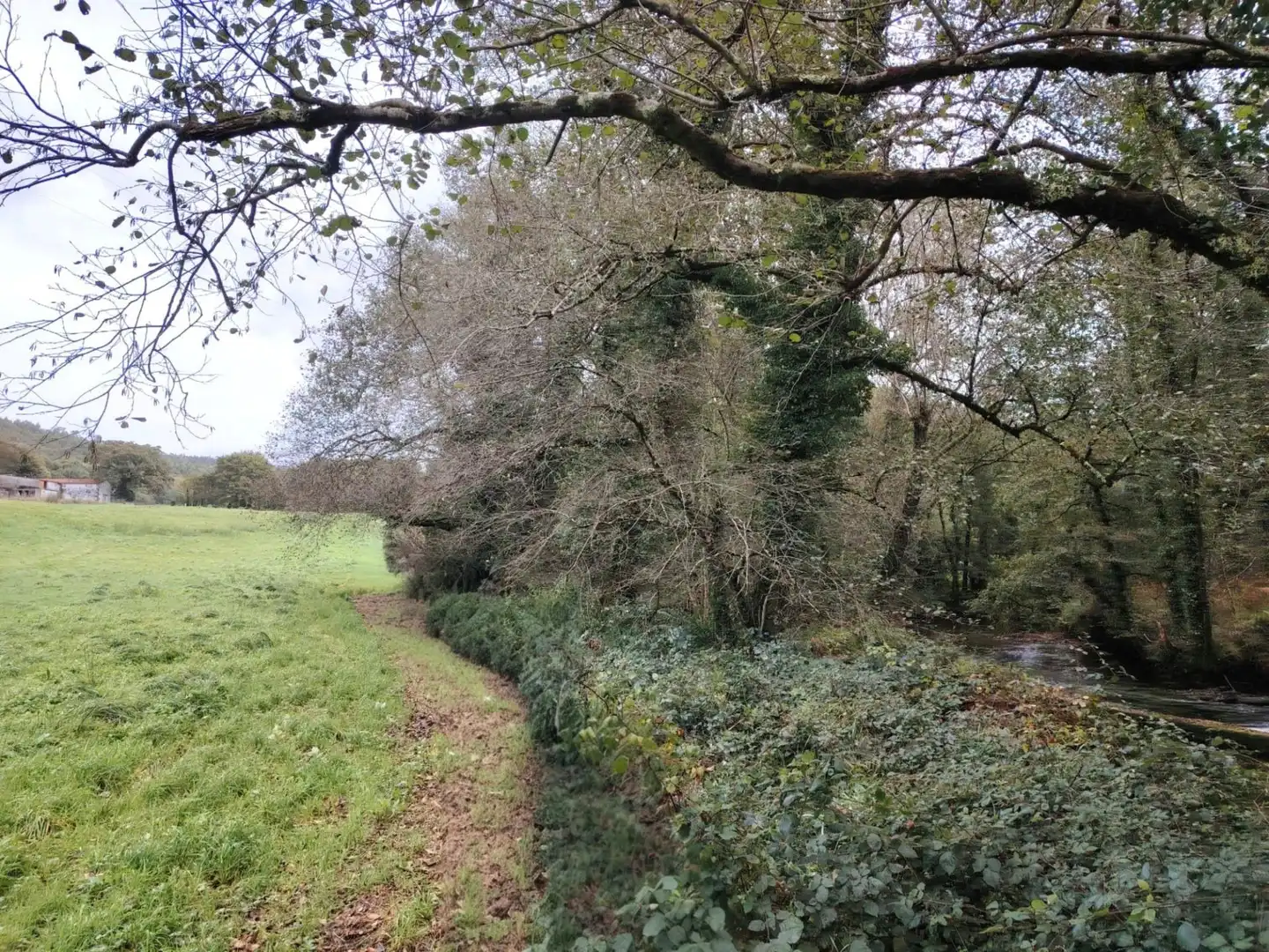 Country homes for sale in Negreira