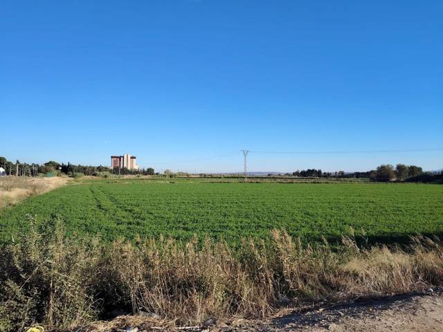 Terreno en Venta en Avenida Movera en Movera