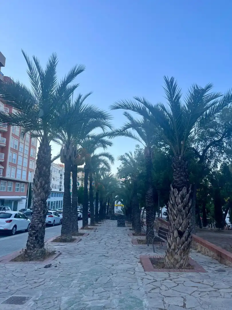 Pis amb terrassa en venda a Elche ciudad, imagen 18