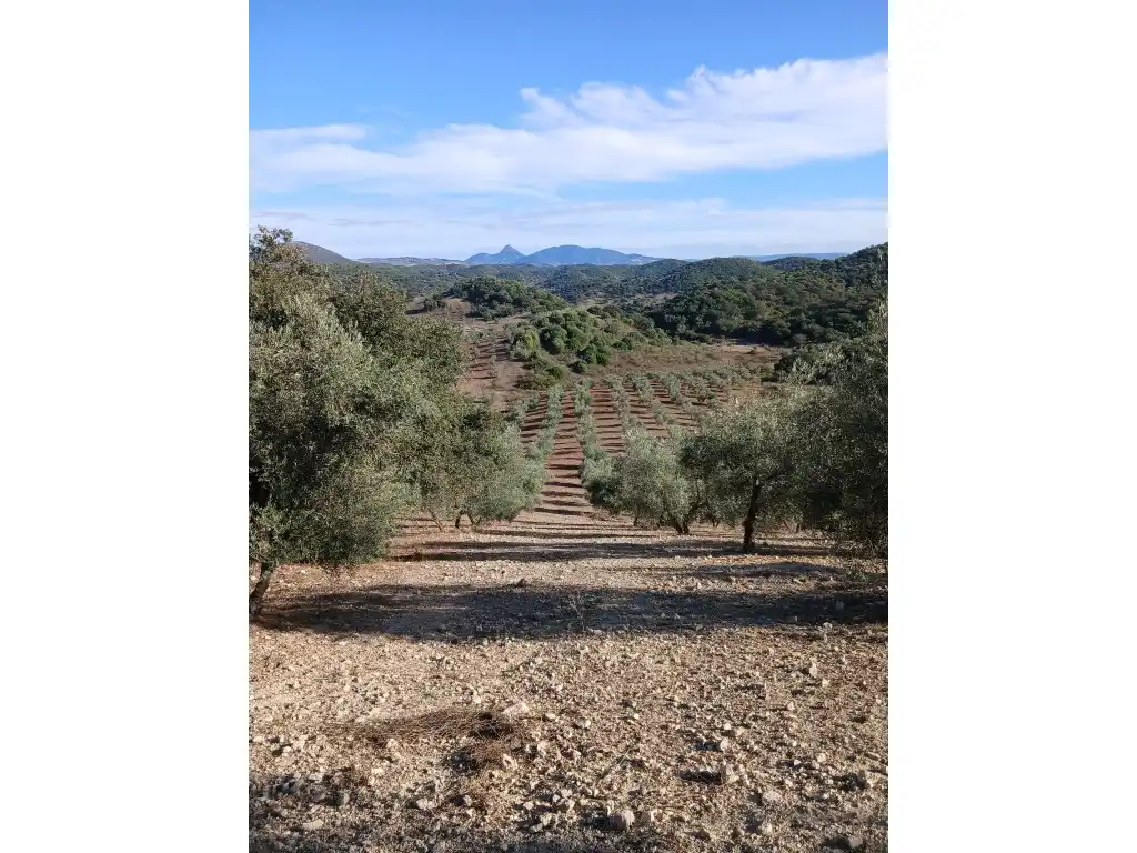 Residential for sale in Morón de la Frontera