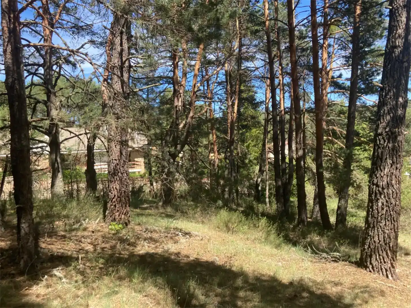 Terreno en venta en Navaleno, Soria