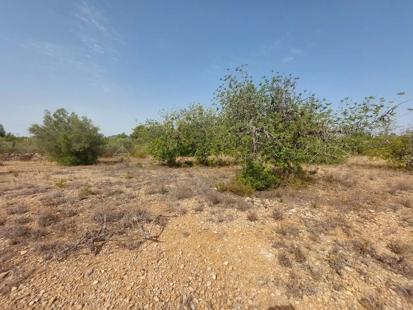 Finca rústica en venda en L'Ametlla de Mar  amb Terrassa i Moblat