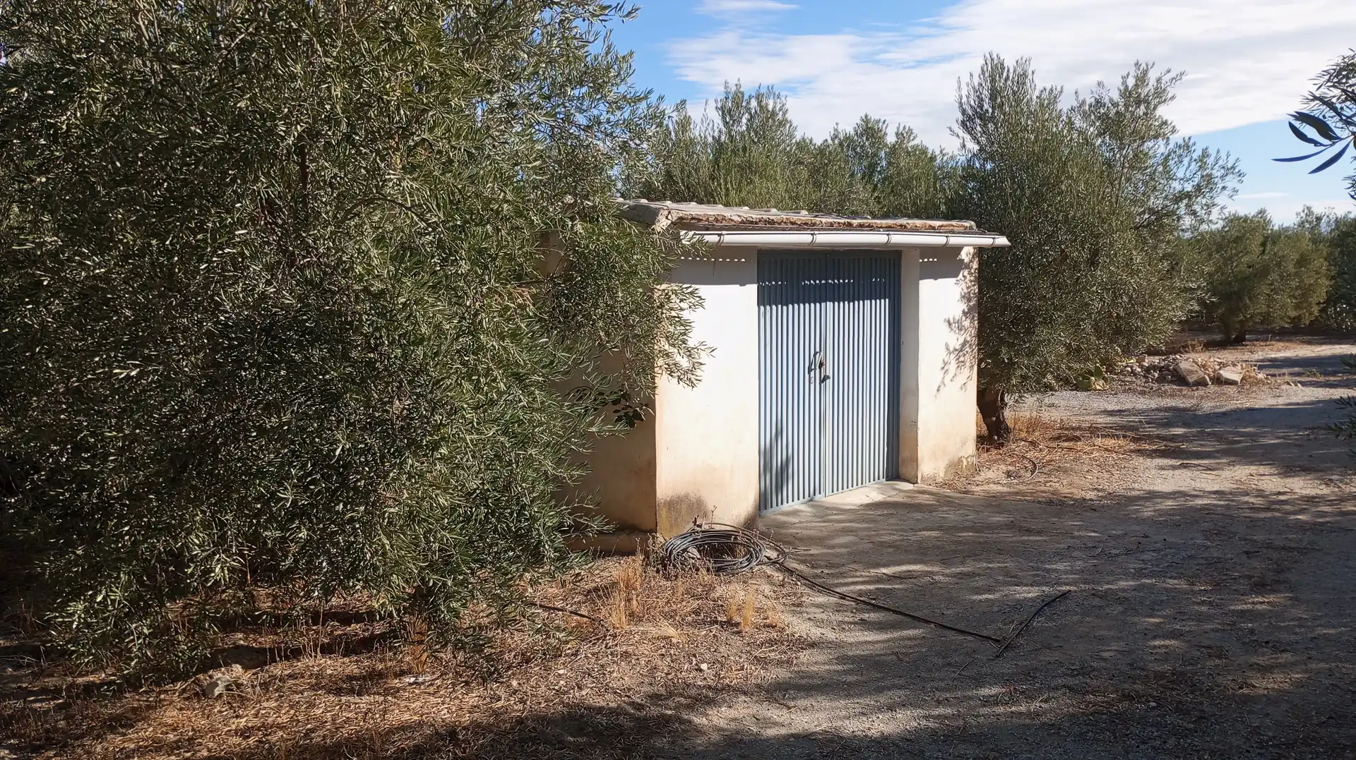 Terreny rústic en venda a Baza, imagen 4