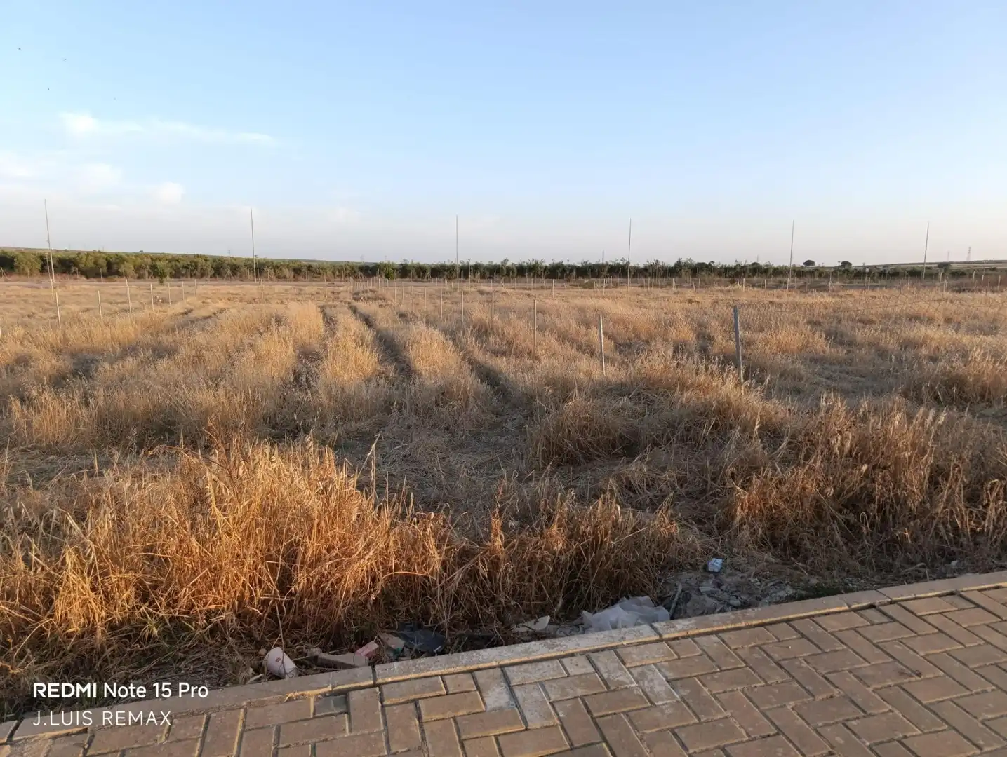 Terrenos y solares en venta en Huévar del Aljarafe, imagen 8