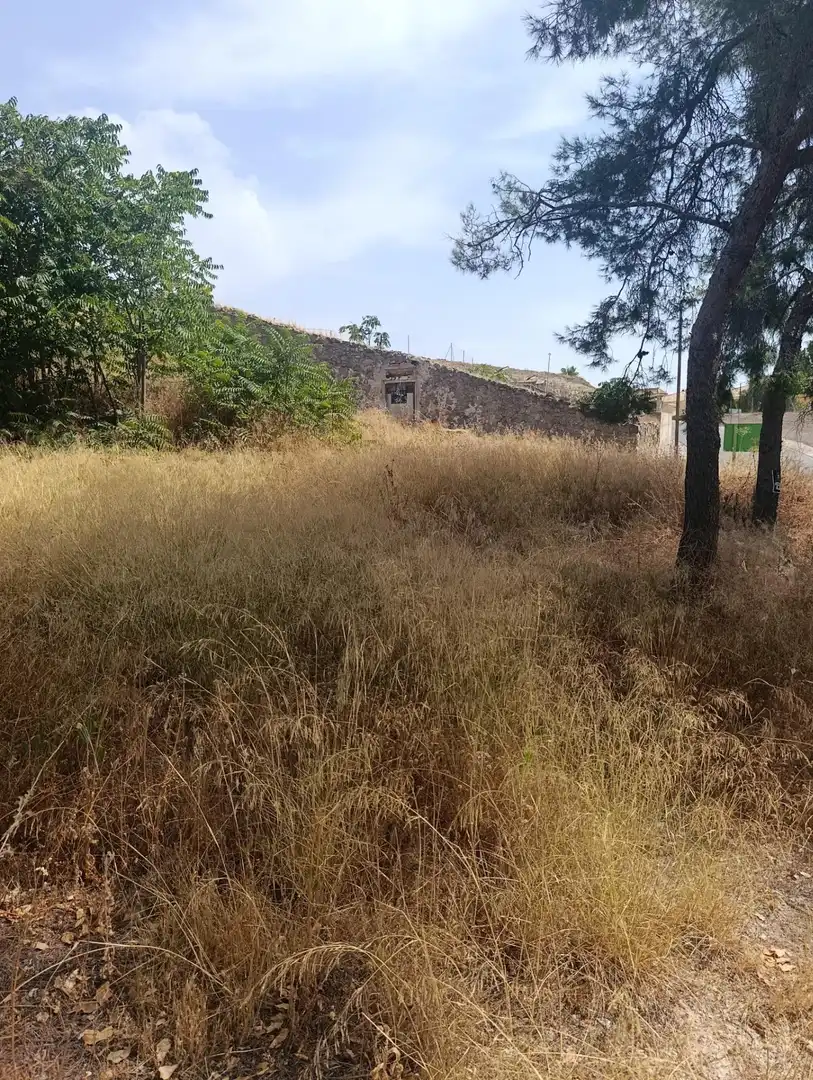 Rural land for sale in Cehegín, imagen 8