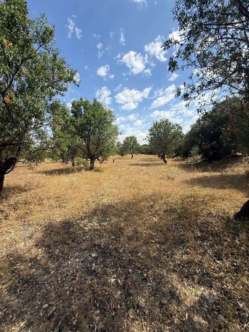 Terrenys i solars en venda a Biar, imagen 9