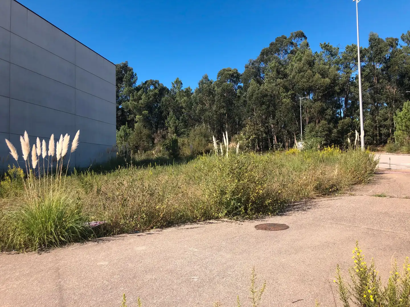 Industrial land for sale in O Porriño, imagen 4