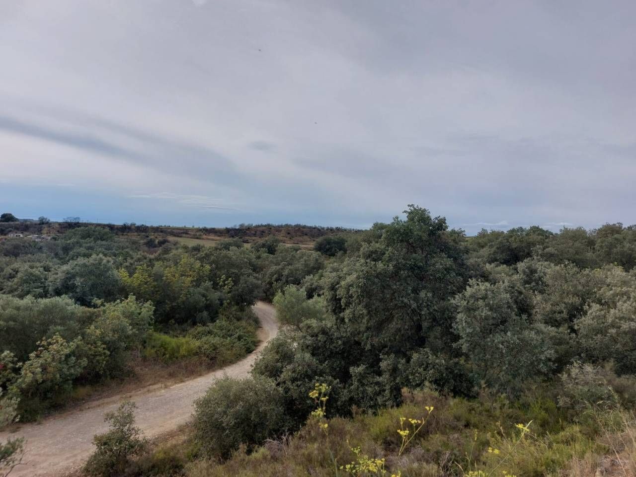 Terreno en venta en Barbastro
