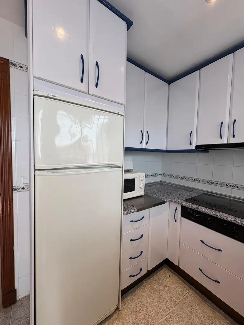 Kitchen of Apartments for rent in Chiclana de la Frontera  with Furnished and Community pool