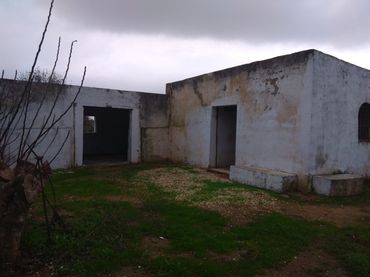 Maison avec jardin à vendre à Carretera del Pago del Humo