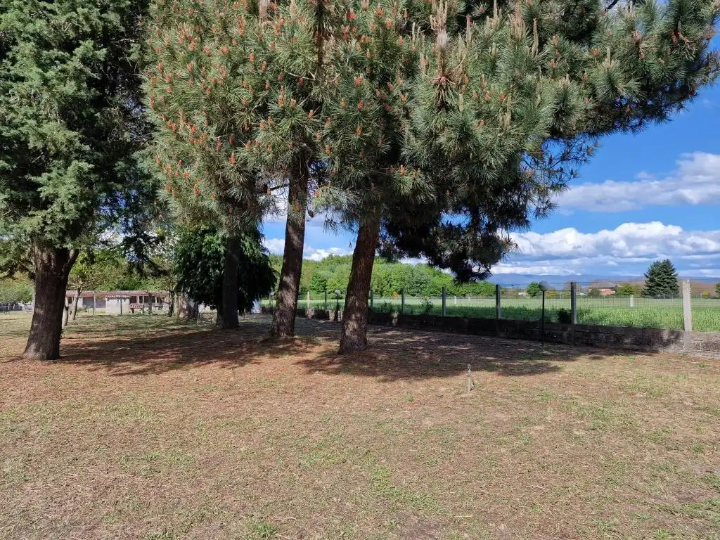 Casa o xalet en venda en Sandiás amb Calefacció, Jardí privat i Terrassa