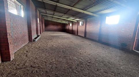 Foto 4 de Finca rústica en venda a Maello, Ávila