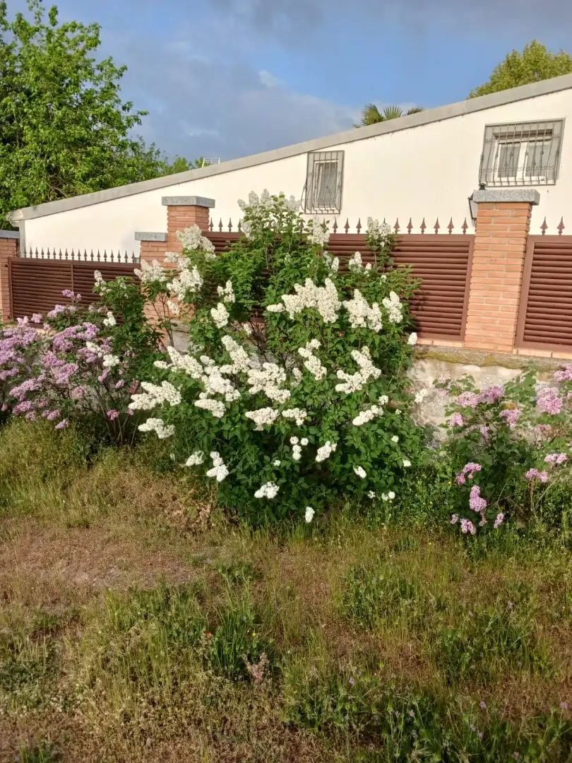 Jardín de Casa o chalet en venta en Aldea del Fresno con Aire acondicionado, Calefacción y Jardín privado