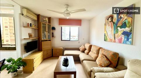 Photo 2 of Apartment to share in Playa Muchavista, El Campello
