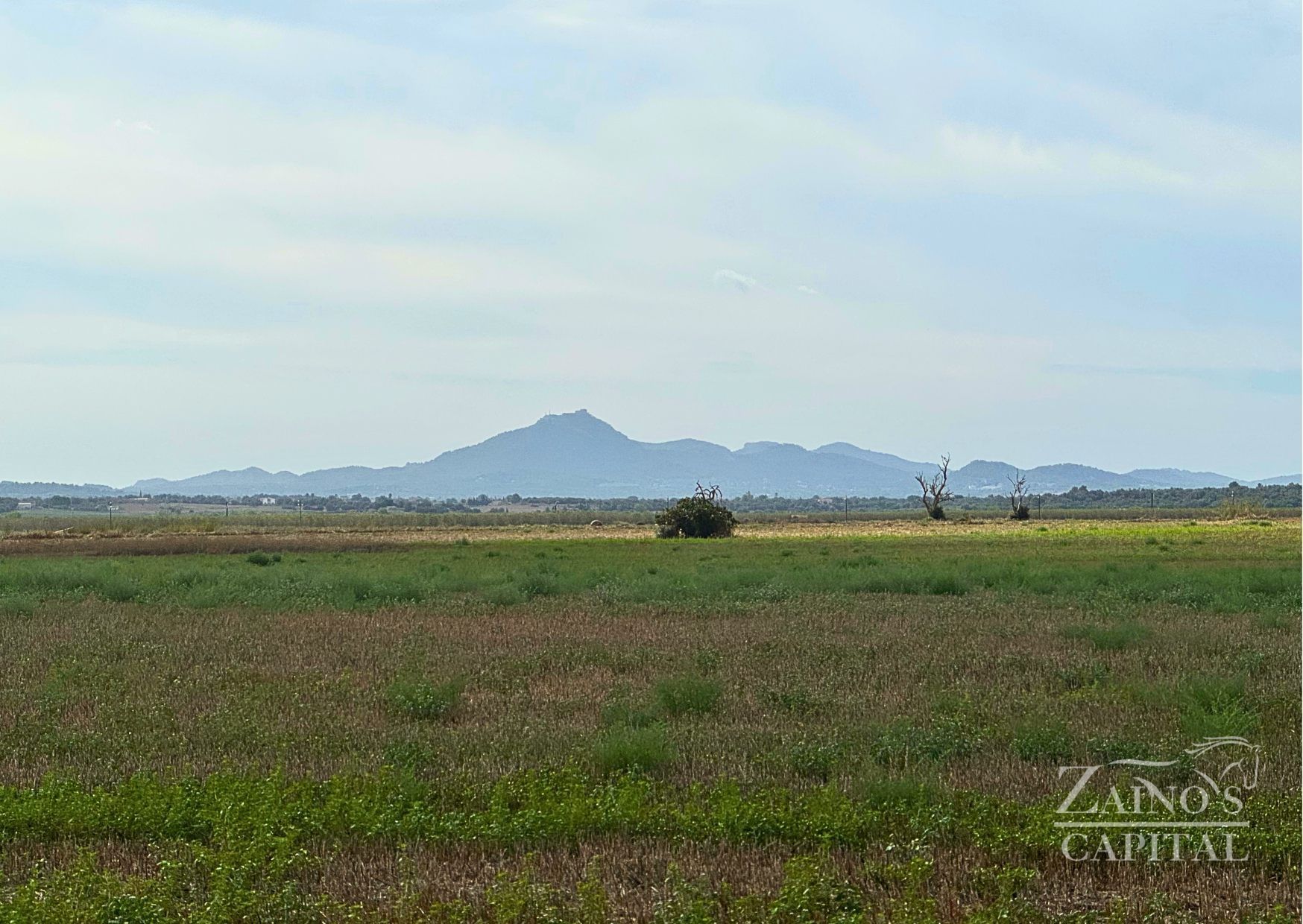 Terreny en venda