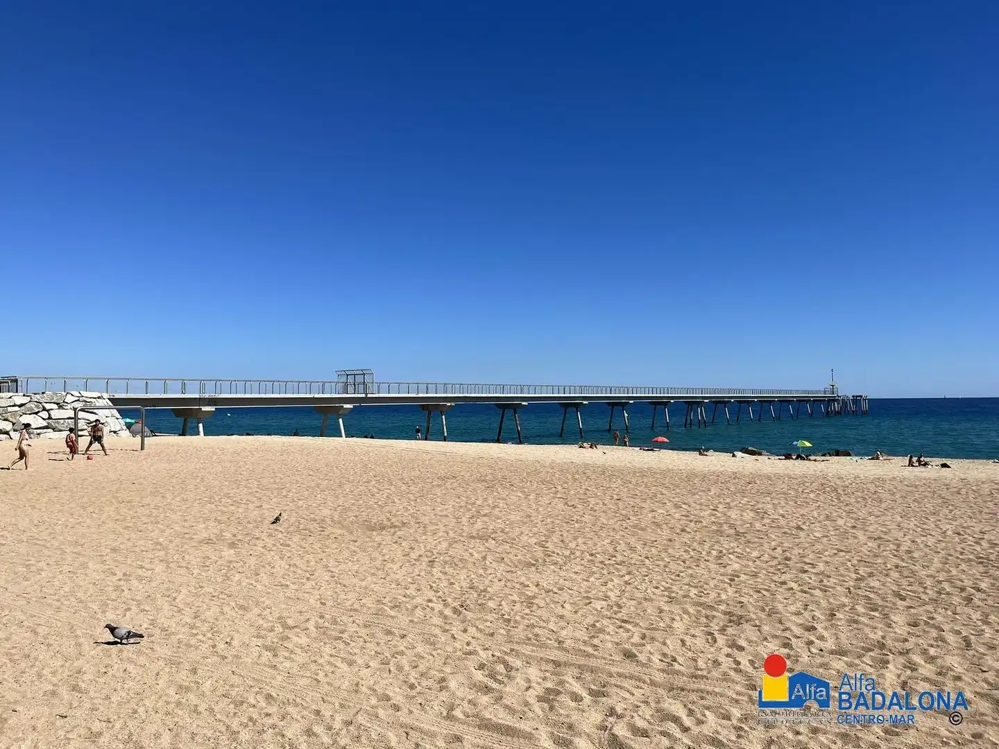 Vista exterior de Piso en venta en Badalona con Aire acondicionado, Calefacción y Jardín privado