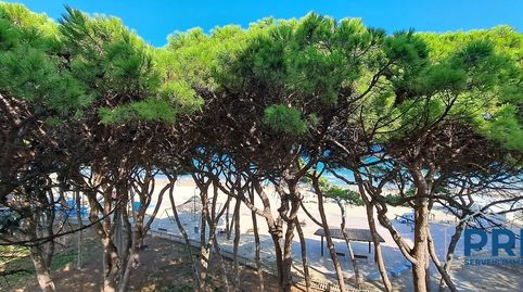 Apartamento reformado en primera línea de playa con vistas frontales al mar en La Pineda Vilaseca, imatge 5
