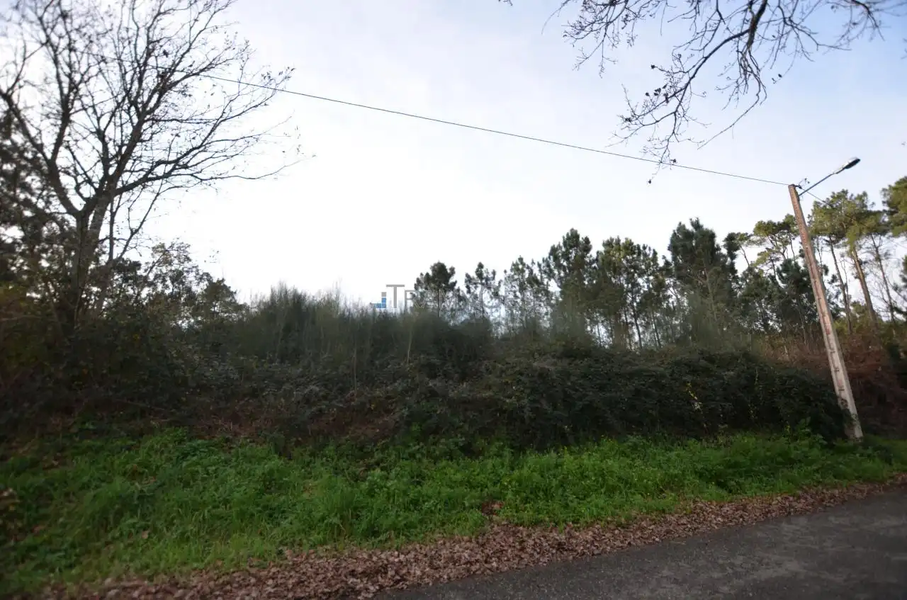 Terreno rustico in vendita a CARREGAL ABAIXO, imagen 17