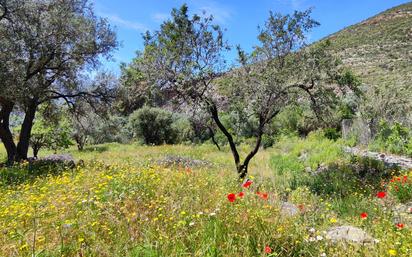 Garten von Grundstücke zum verkauf in Órgiva