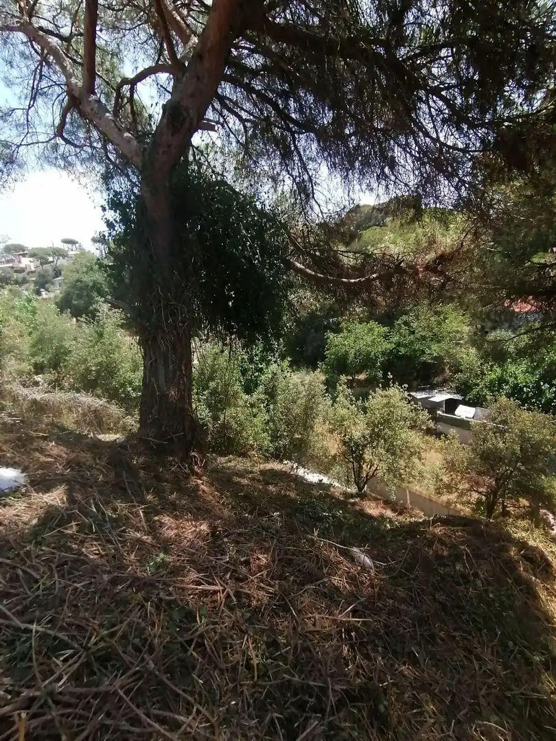 Terreno residencial en venta en Can Massuet del Far, imagen 5
