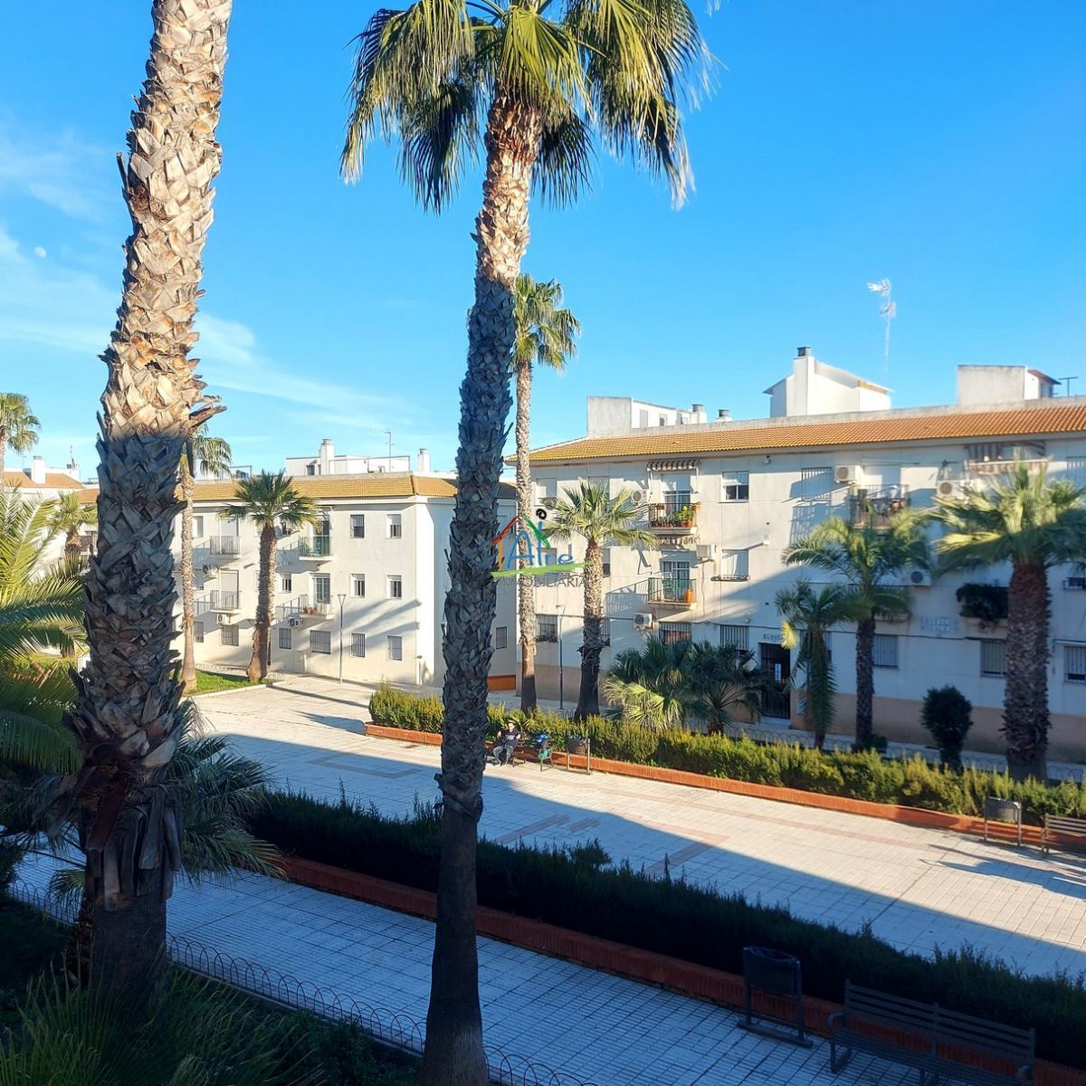 Vista exterior de Pis en venda en Bollullos Par del Condado amb Aire condicionat, Terrassa i Moblat