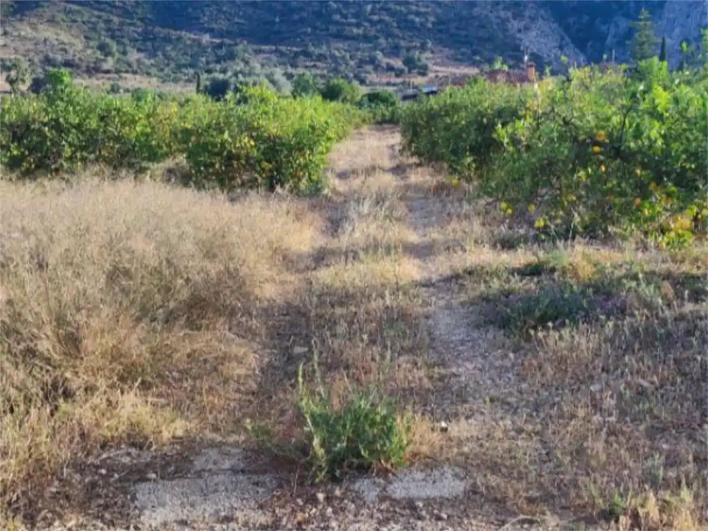 Grundstücke zum Verkauf in Doña Ana