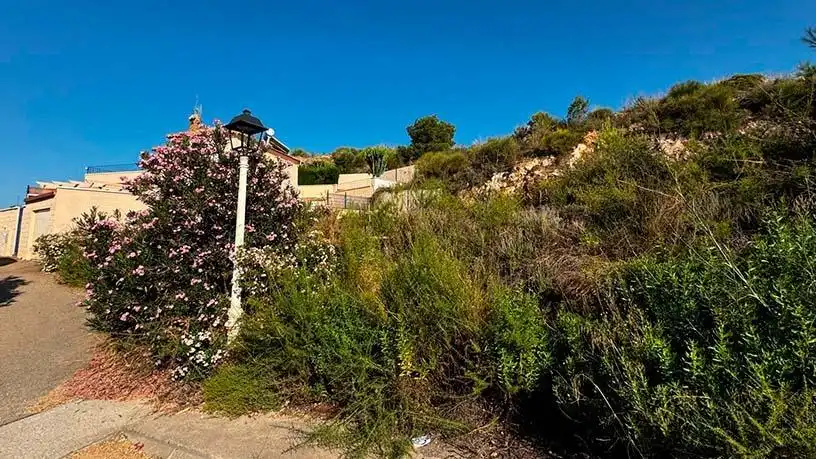 Terreno residenziale in vendita a Bédar, imagen 2