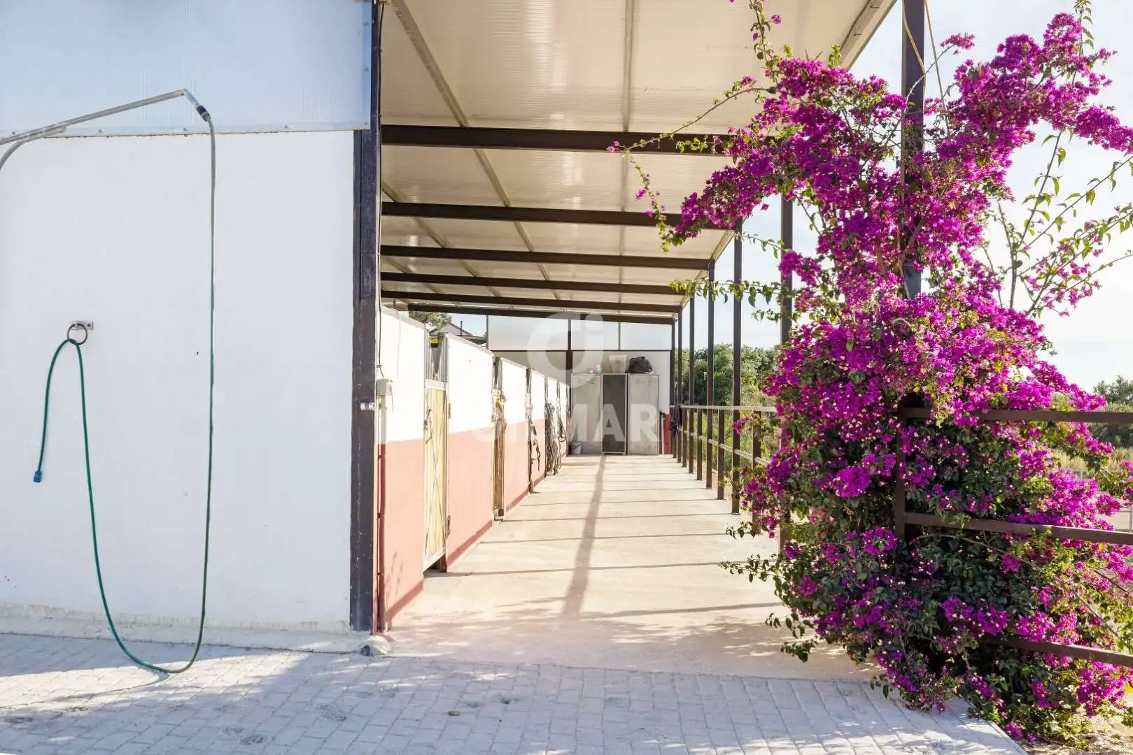 Chalet con jardín en venta en Arcos de la Frontera, imagen 32