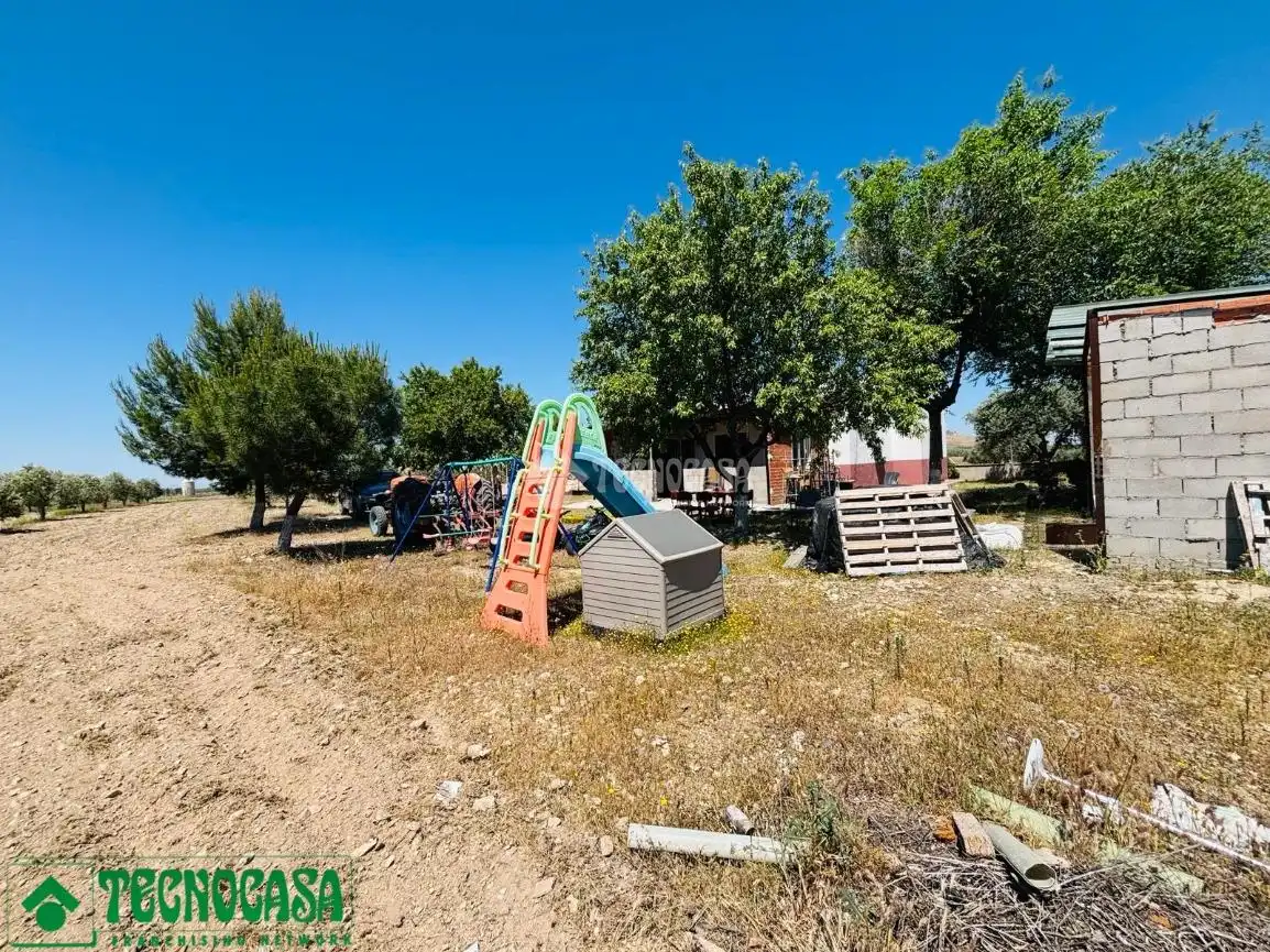 Land for sale in Mascaraque