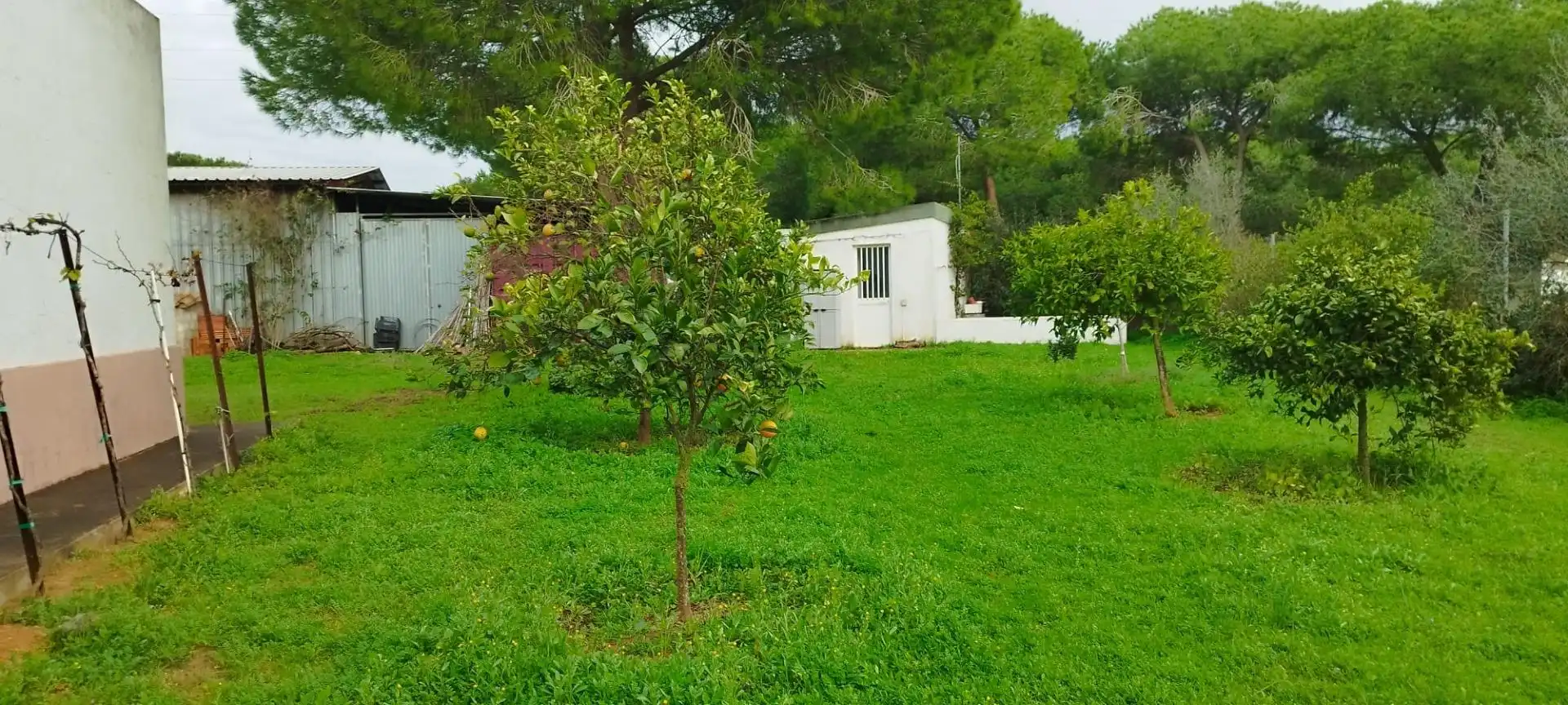 Jardín de Casa o chalet en venta en Puerto Real