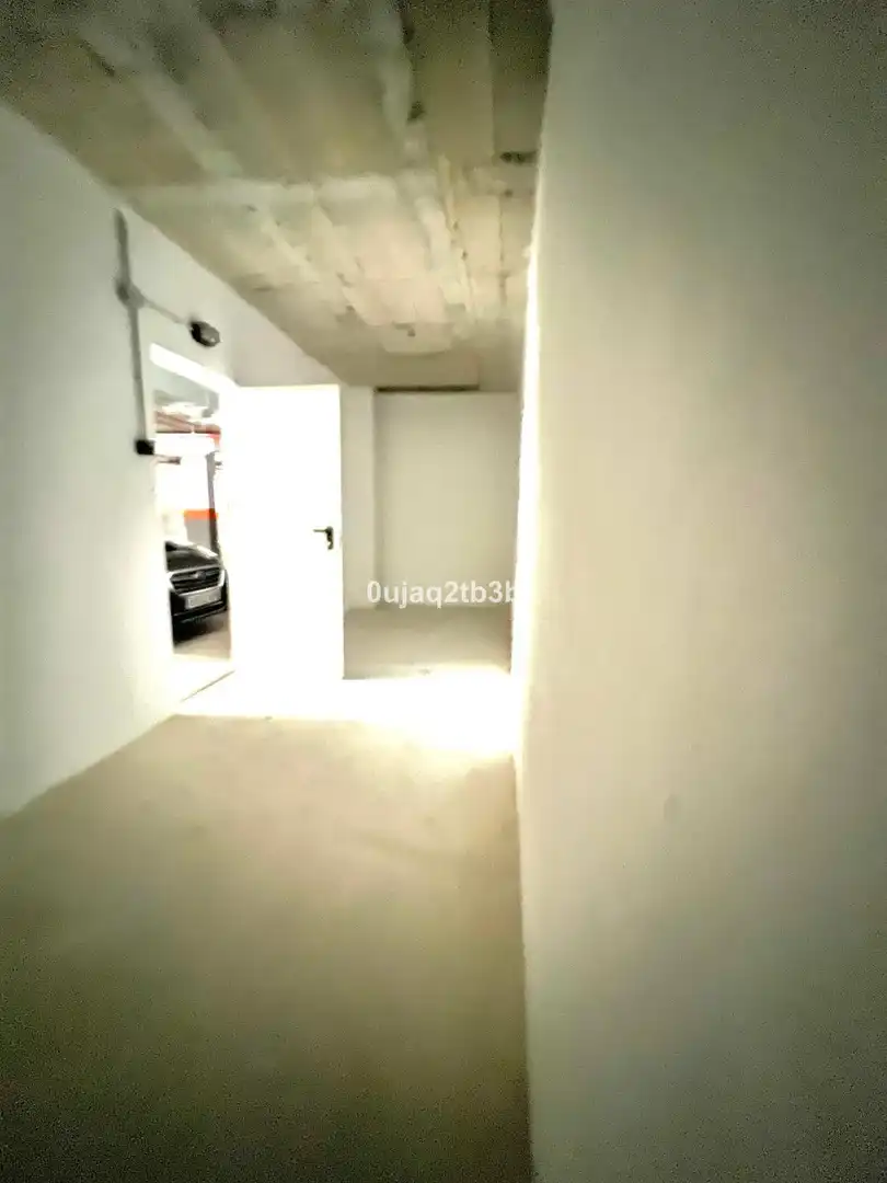 Local comercial en alquiler en San Pedro de Alcántara, imagen 9