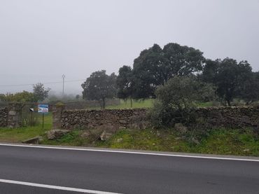 Rural land for sale in Oliva de Plasencia