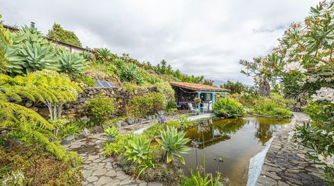 Foto 3 de Casa o xalet en venda a Breña Alta, Santa Cruz de Tenerife