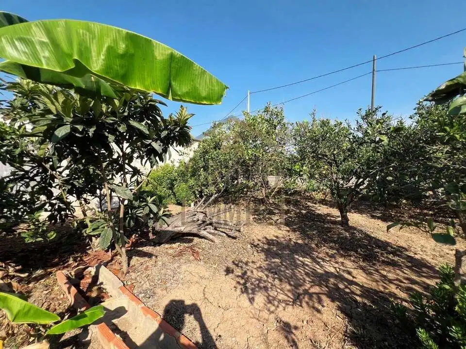 Jardí de Casa o xalet en venda en Castellón de la Plana / Castelló de la Plana amb Traster