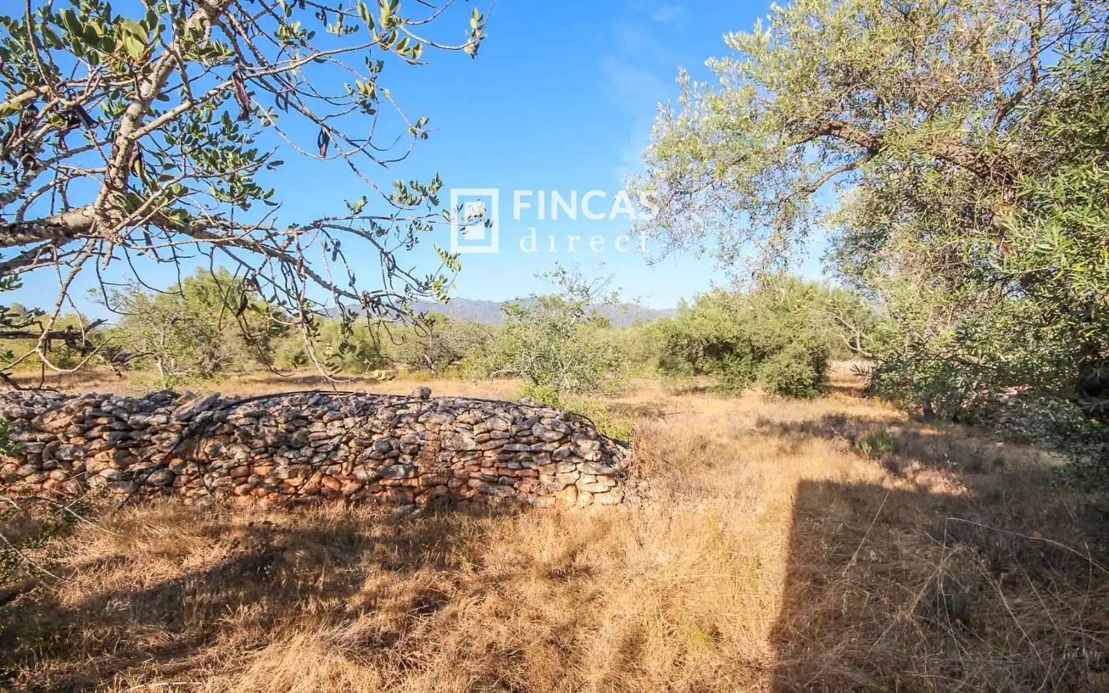 Country homes for sale in Xerta