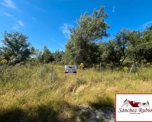 Residential for sale in Las Rozas de Madrid