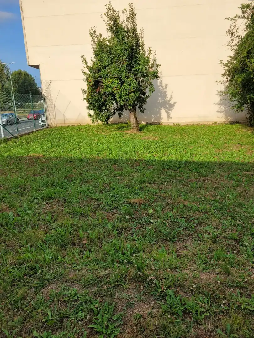 Terreni e lotti in vendita a A Gándara, imagen 11
