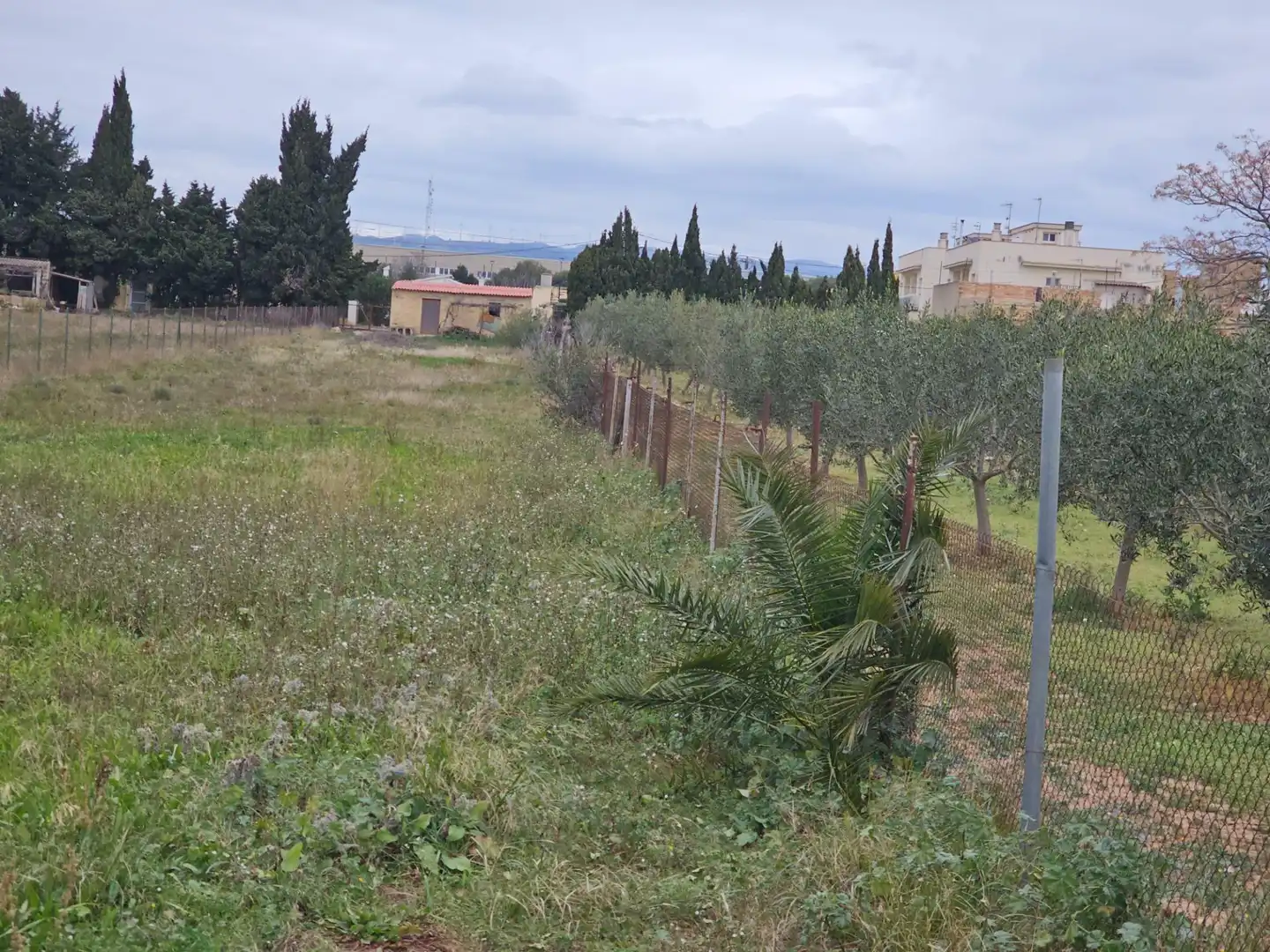 Country house for sale in L'Aldea, imagen 12