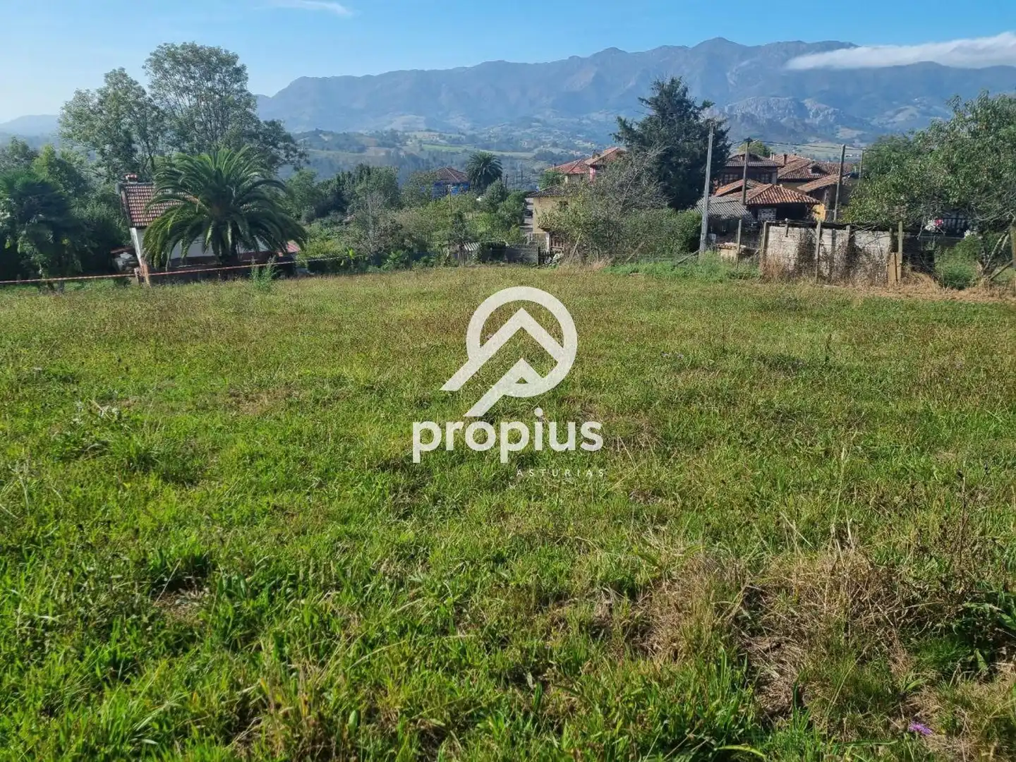 Rural land for sale in Arenas, imagen 2