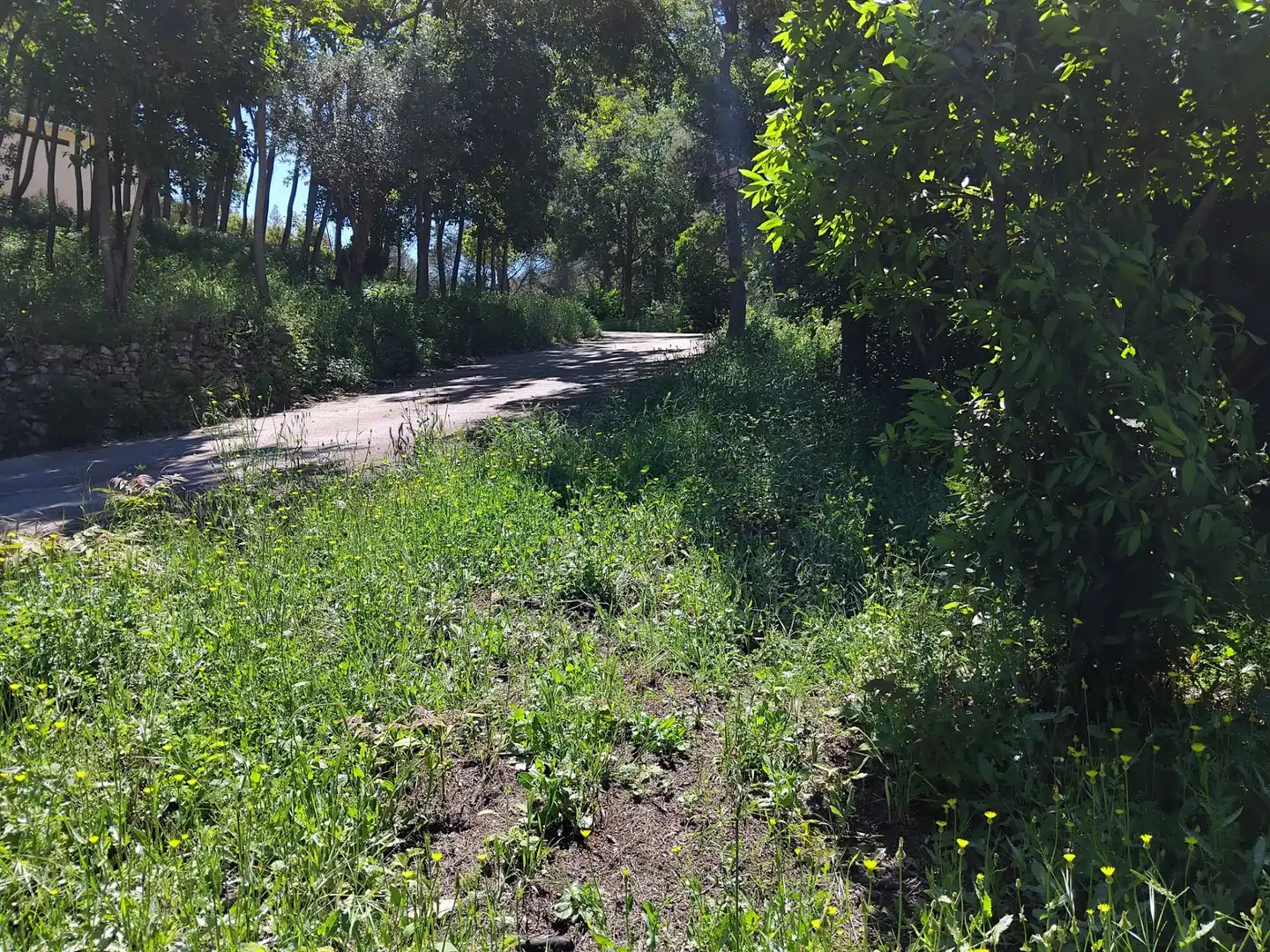 Residencial en venda a Gelida