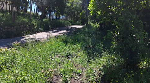 TERRENO URBANO, immagine 5