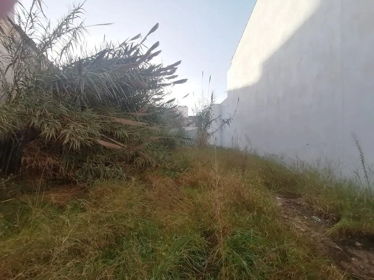 Terreny residencial en venda a Carrer de sa Gerreria, imagen 7